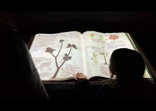 虛擬翻書(shū)、電?翻書(shū)、空中翻書(shū)、感應(yīng)翻書(shū)、互動(dòng)翻書(shū)在圖書(shū)館、學(xué)校等這樣的教育行業(yè)方面的應(yīng)用場(chǎng)景