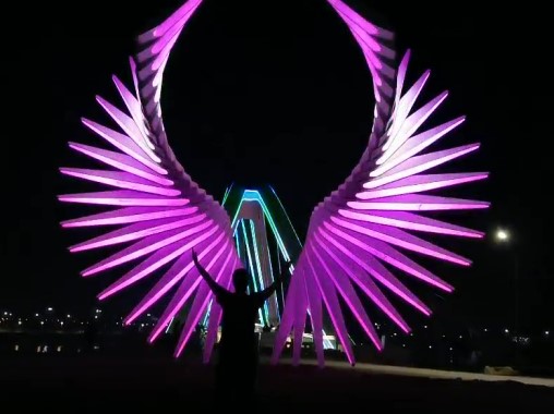 體感互動發(fā)光翅膀