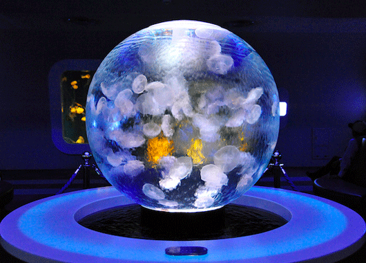 球幕投影在舞臺表演、ktv場所的應用場景