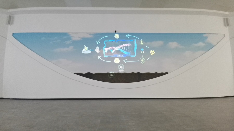 雷達互動投影魔法墻-蘇州好奇數字科技.jpg