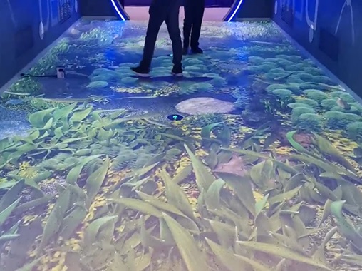 魚水地面投影互動-蘇州好奇數字科技有限公司